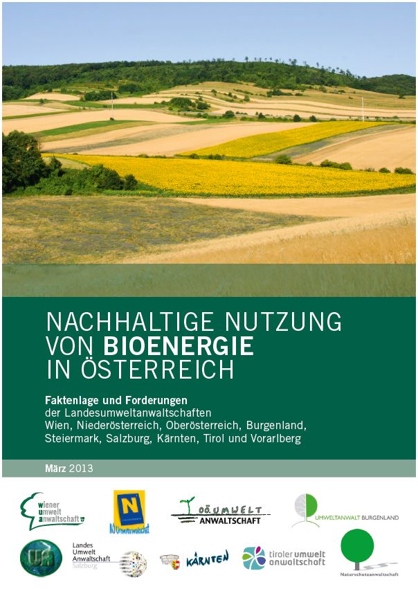 Deckblatt LUAs Bioenergie
